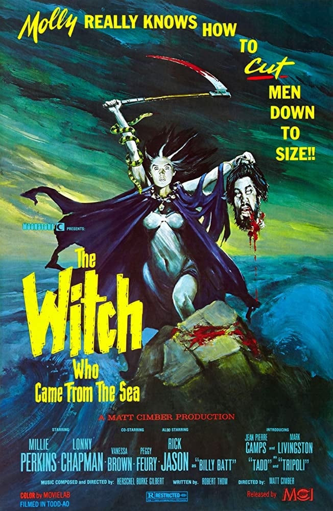 постер The Witch Who Came From The Sea